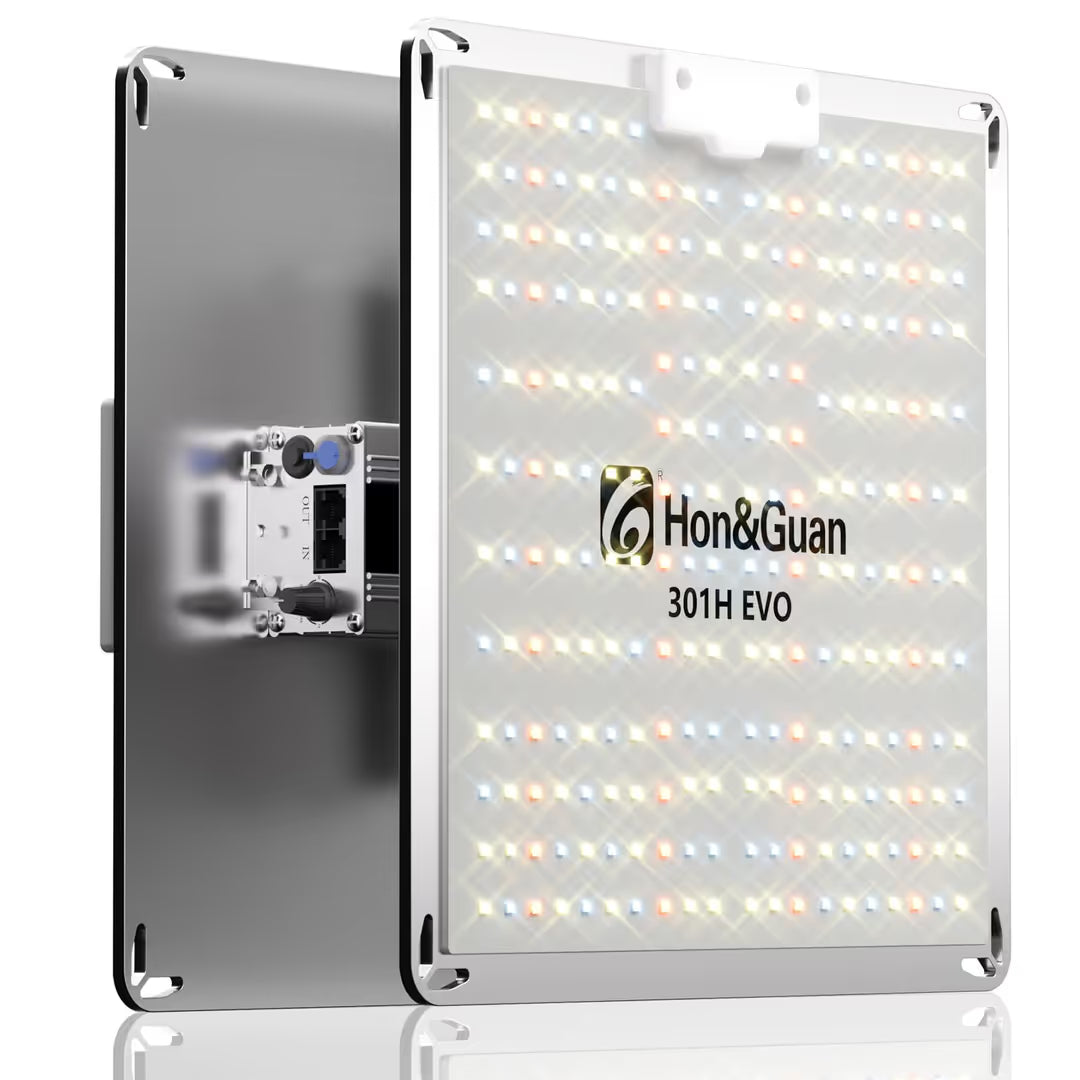 Lampa LED do Uprawy Roślin Sadzonek Ziół Panel Grow Light HG1000 EVO do Szklarni Główne zdjęcie produktu