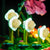Zestaw LED do LEGO 43252 Domek Doniczka Vaiany Oswietlenie
