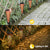 Bonsery Lampki Solarne Ażurowe Wbijane LED Lampa Solarna Komplet 6 Sztuk