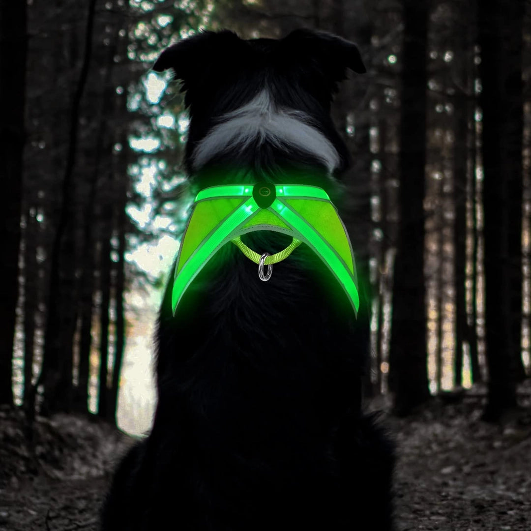 Szelki LED dla psa świecące USB bezuciskowe regulowane widoczne w nocy