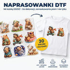 Naprasowanki, Naplamki Łatki Termo DTF Na Ubrania Zestaw Dla Dzieci Arkusz Kapibara