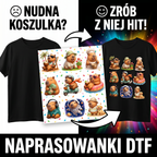 Naprasowanki, Naplamki Łatki Termo DTF Na Ubrania Zestaw Dla Dzieci Arkusz Kapibara
