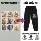 Naprasowanki, Naplamki Łatki Termo DTF Na Ubrania Zestaw Dla Dzieci Arkusz Kapibara